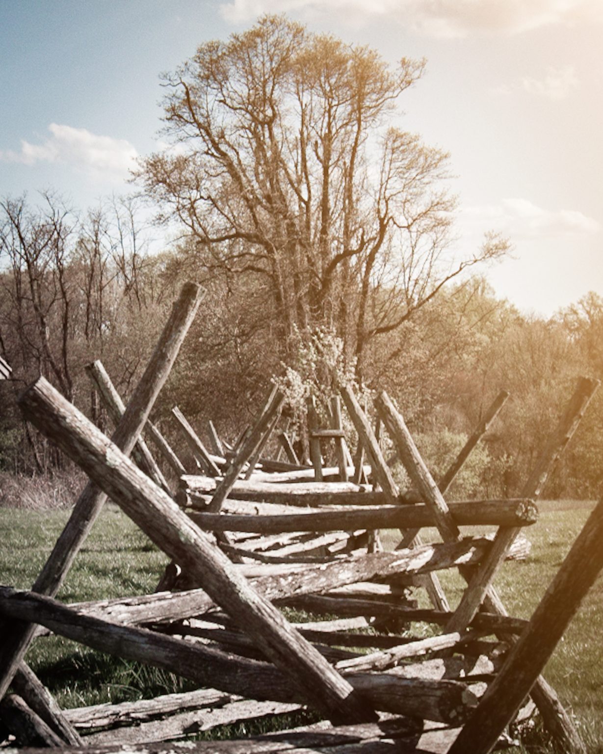 Escape To History: Unveiling The Charm Of Craig House State Park In New Jersey